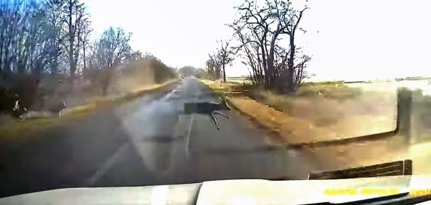 Fütyültek az őzek az autón lévő vadsípokra Tiszavárkonynál – videó