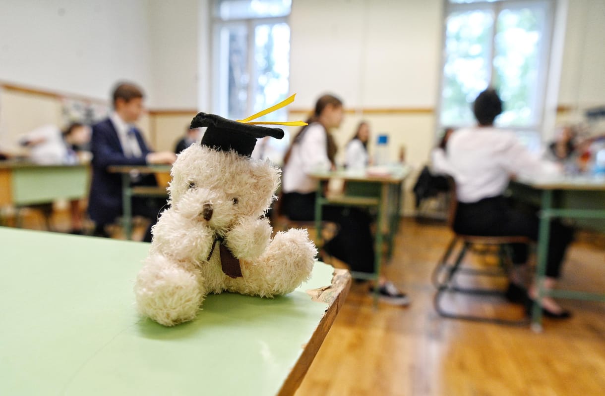 Gráfok, statisztika és szőlőtermesztés az idei matekérettségi feladatai között