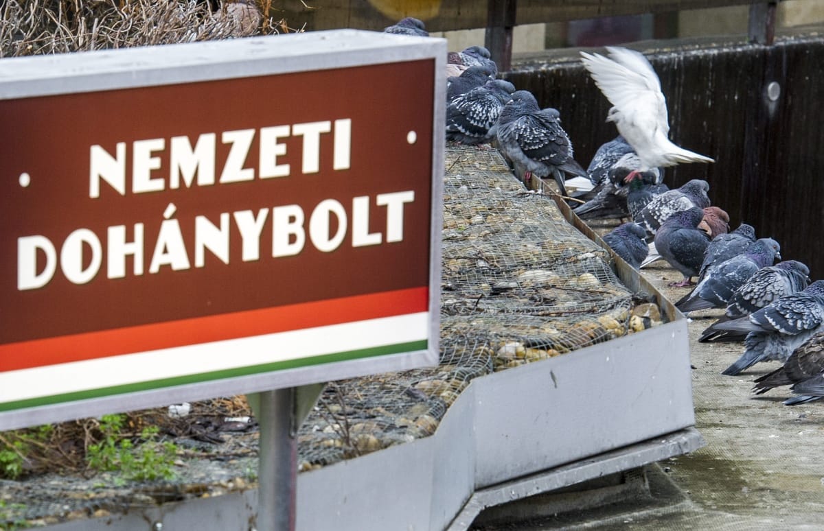 Március elején lezárják a nyomozást a trafikmutyi ügyében