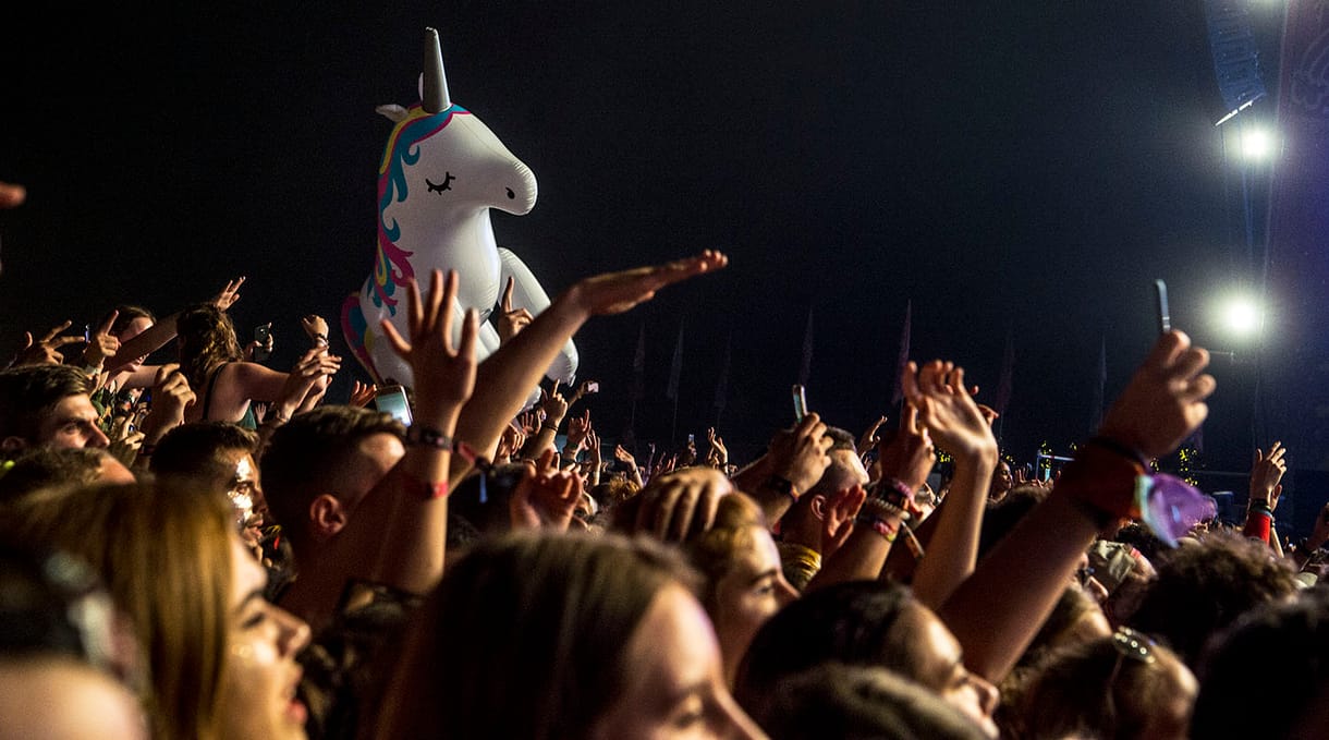 Nem kispályáztak a Szigeten drogot áruló hollandok