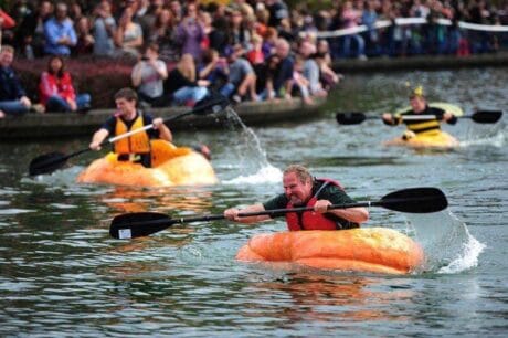 Tök jó regatta