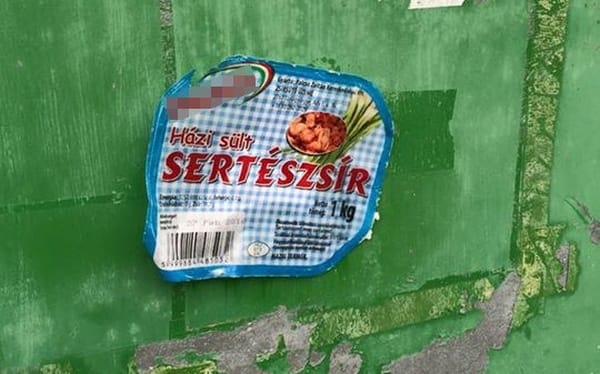 Magasra csaptak az iszlámgyűlölet hullámai
