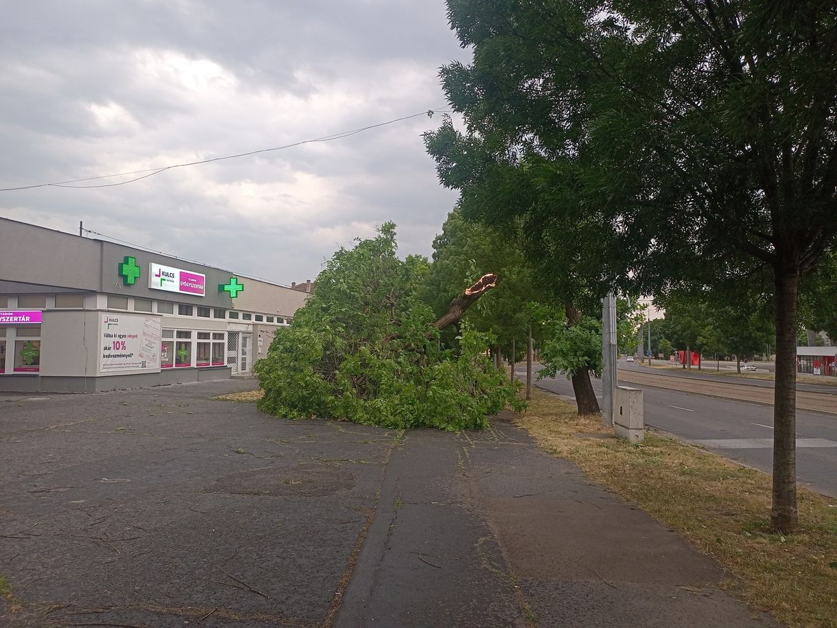 Öt perc alatt letarolta Miskolcon Bulgárföldet a vihar