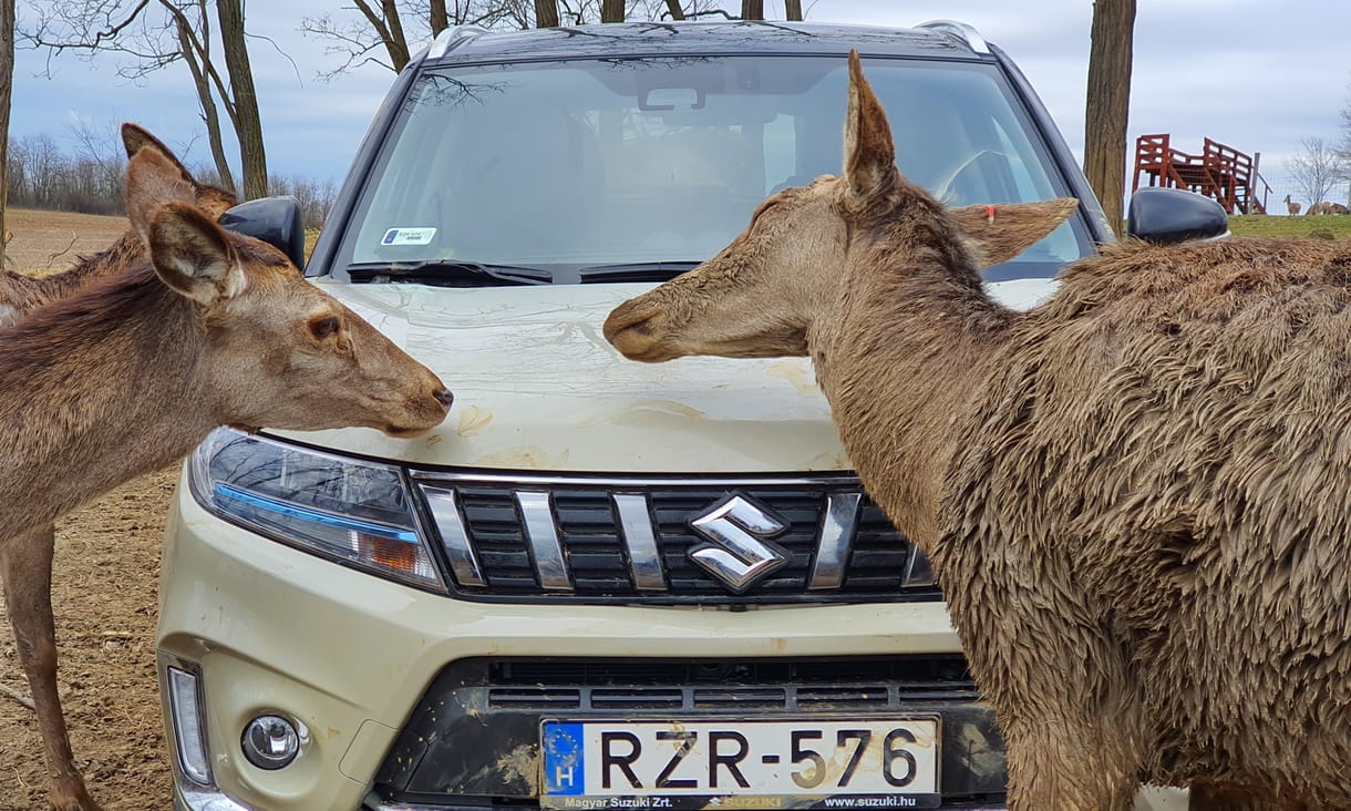 Mennyit fogyaszt az új hibrid Suzuki Vitara? Kipróbáltuk