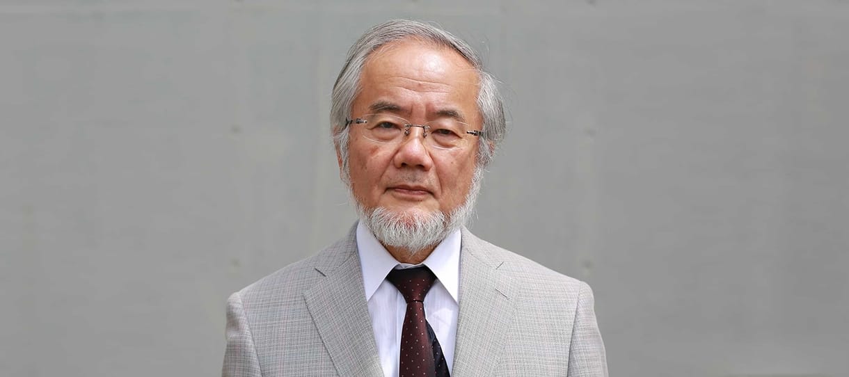 Sejtkutatással foglalkozó japán tudós kapja idén az orvosi Nobel-díjat