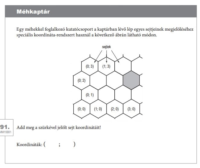 Ilyen feladatot kaptak a ma kompetenciatesztet írók