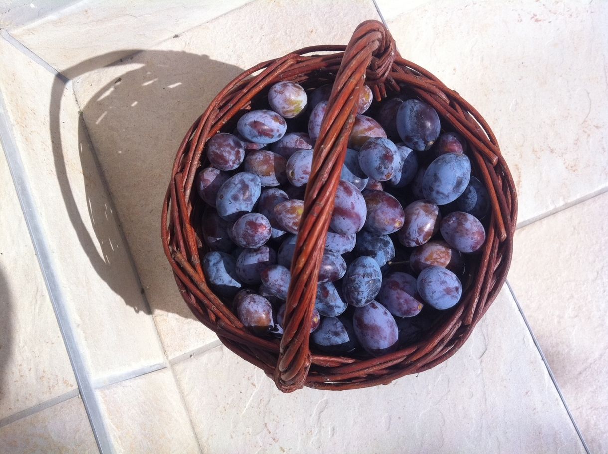A tökéletes szilvalekvár és egyebek - recept