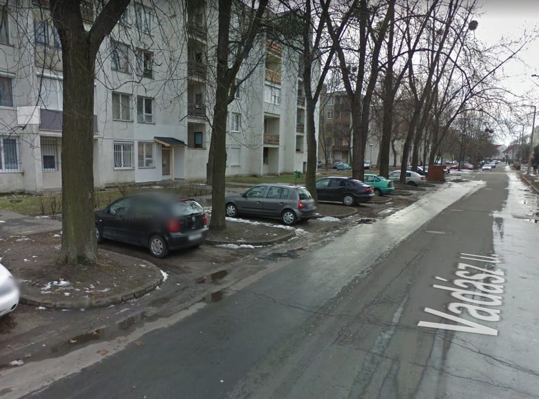 Tizenkét parkolóhely miatt vágtak ki több fát a tatabányai lakótelepen
