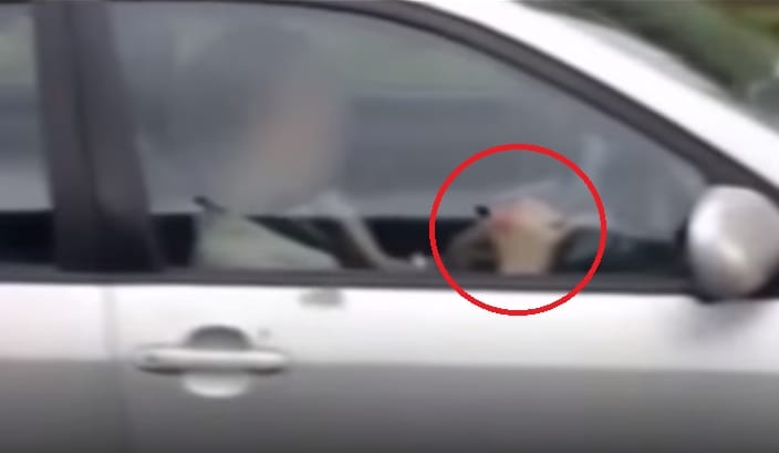 Vezetés közben próbálta kirakni a Rubik-kockát egy brit autós – videó