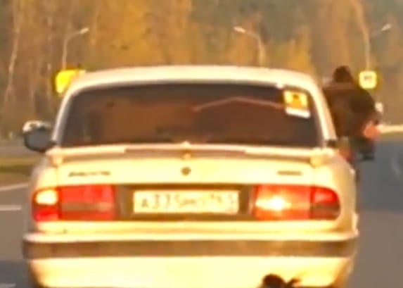 Nem vicc: medve ült a hátsó ülésen egy orosz autóban - videó