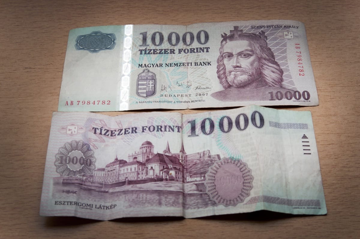 Bemutatjuk az új tízezrest: Szent István harci díszben virágokkal