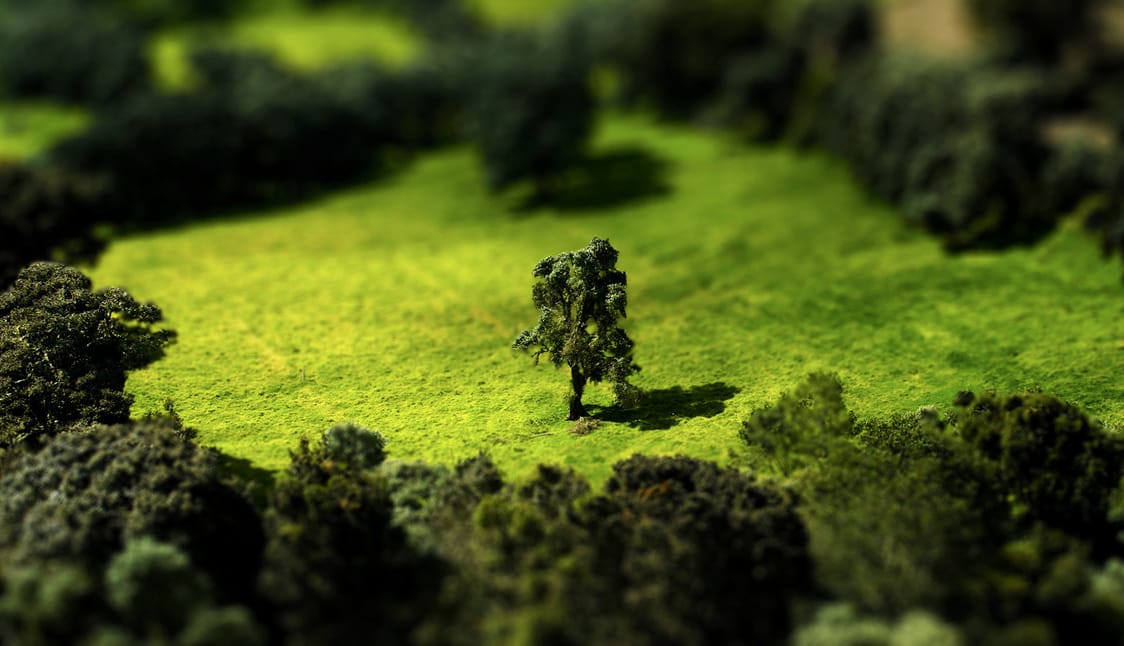 Mai háttérkép: Tilt Shift Meadow - óriásból törpe
