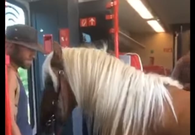 Lovával együtt indult vonatozni egy osztrák