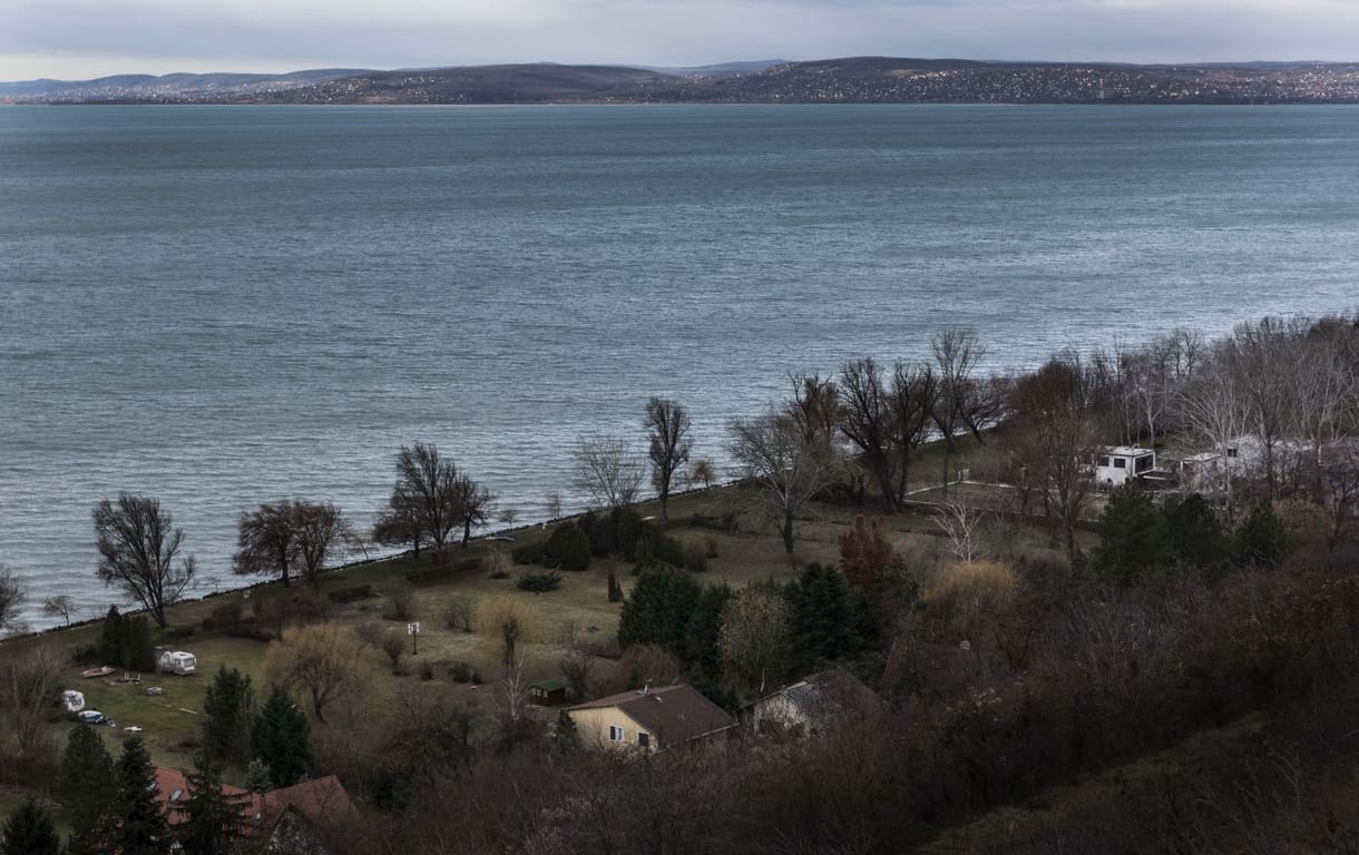 Most útépítés miatt vágnak ki fákat a Balatonnál