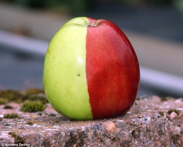 Fotó egy rendkívül ritka genetikai mutációról