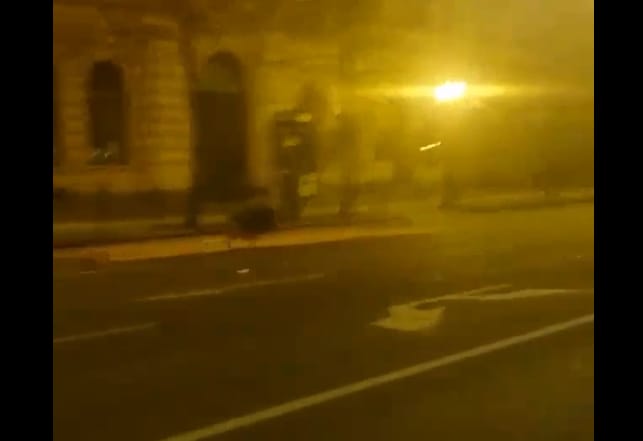 Videó: A Bazilikánál vágtatnak a szökevény vaddisznók