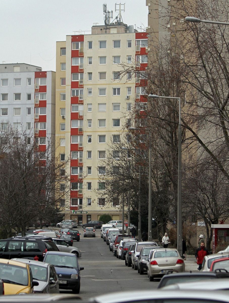 Nem fogja elhinni, hogy mi az ingatlanpiac sztárja