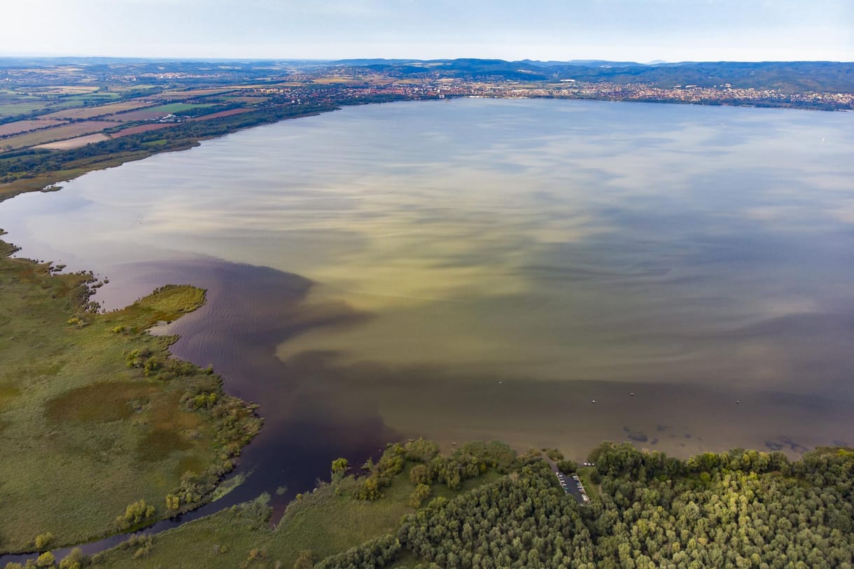 Algásodást jeleztek a Balatonnál