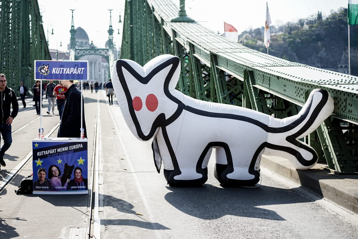 Titoktartásra hivatkozva nem írta bele a vagyonnyilatkozatába a kutyapárti képviselő, hogy mennyit keres a tiszteletdíján kívül