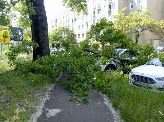 Fotó: A Vasúttörténeti Park közelében zúzott össze egy autót egy leszakadó faág