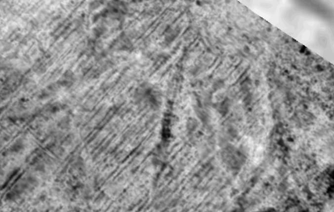 Ezer éves viking hajóra bukkantak a föld alatt