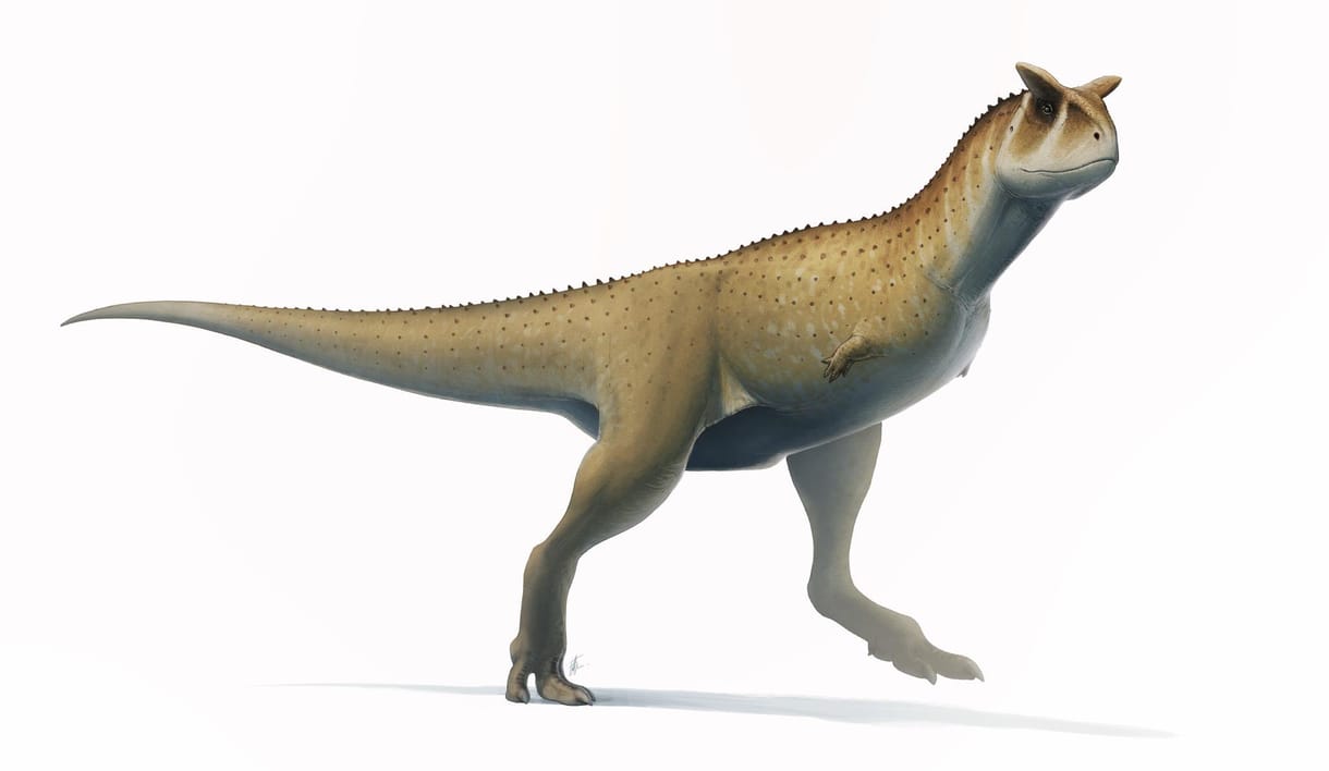 „Kar nélküli” dinoszauruszfajt fedeztek fel Argentínában