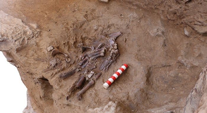 Különös dologra bukkantak 70 000 éves neandervölgyi emberek sírja mellett