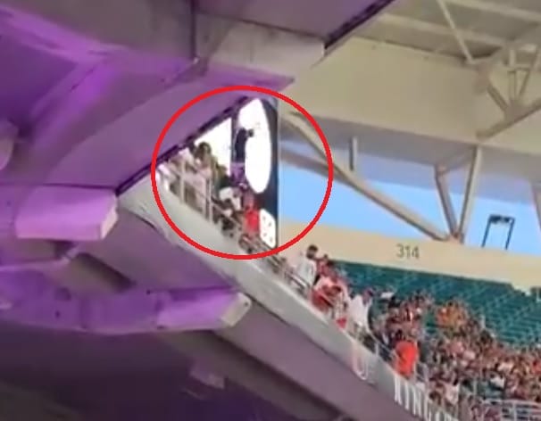 Másodpercekig csüngött egy macska a stadion lelátóján, a szurkolók egy zászlót alá tartva mentették meg