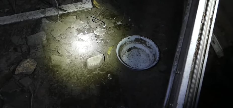 Több állattetemet is talált a rendőrség egy csepeli ház udvarán