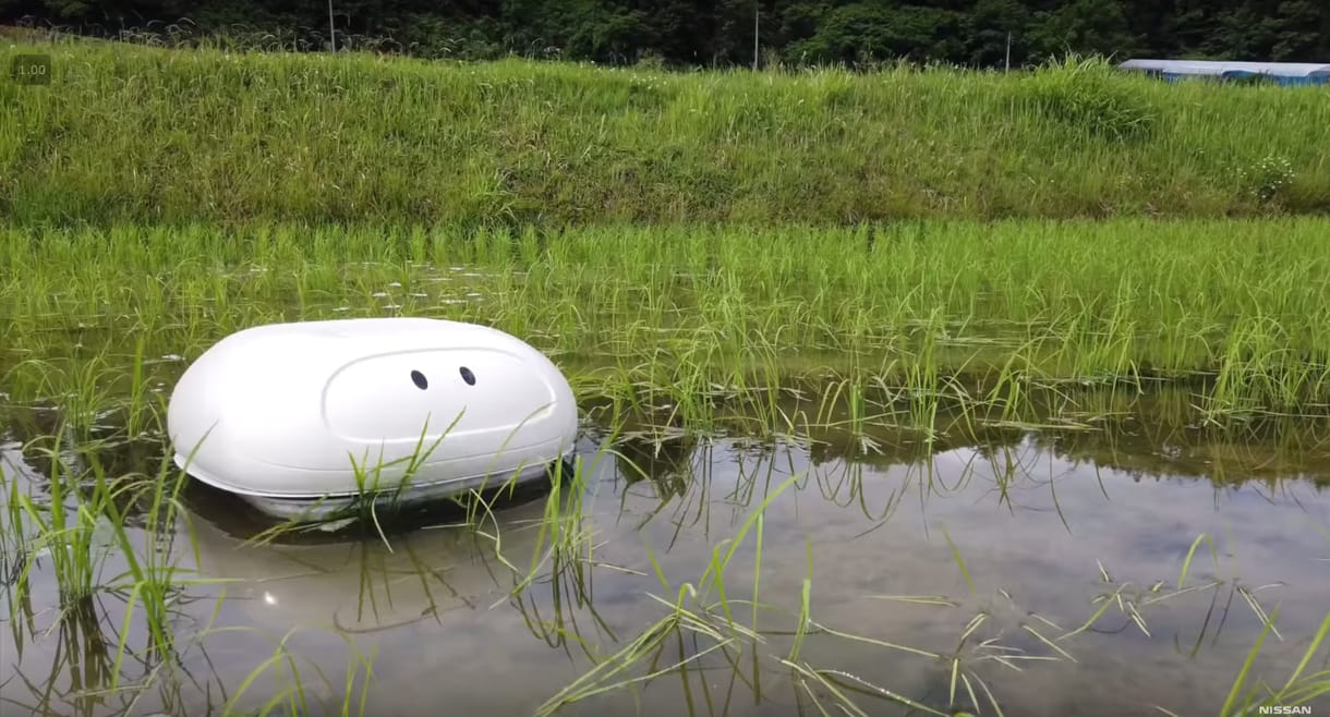 Kacsát játszik a japán robot, a rizsföldeken segíthet gyomlálni