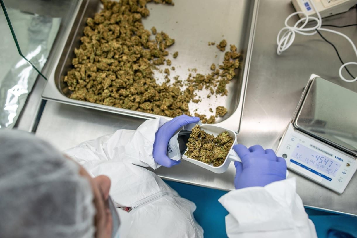 Európai Bíróság: Nem lehet egy beteget kiutasítani olyan országba, ahol nem kaphat orvosi kannabiszt