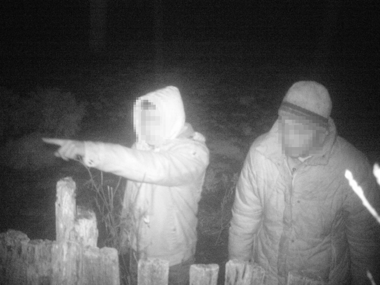Idős nő kerítéséből loptak deszkákat, vadkamera buktatta le őket
