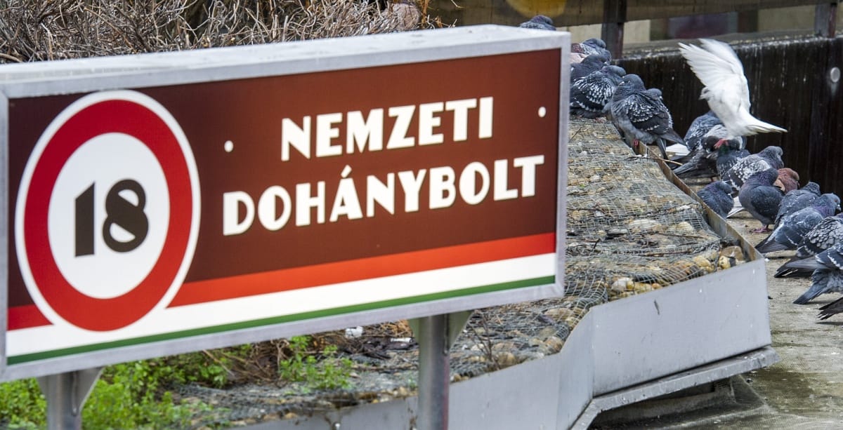 Kiraboltak egy csepeli trafikot, egy mackónadrágos férfit keresnek