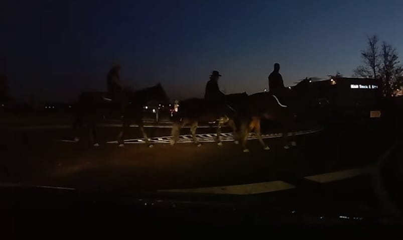 Nem látja? Pedig ott van három láthatatlan lovas a körforgalomban – videó