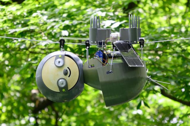 Munkába állt az első robotlajhár, a veszélyes és a veszélyben lévő állatokat is figyeli
