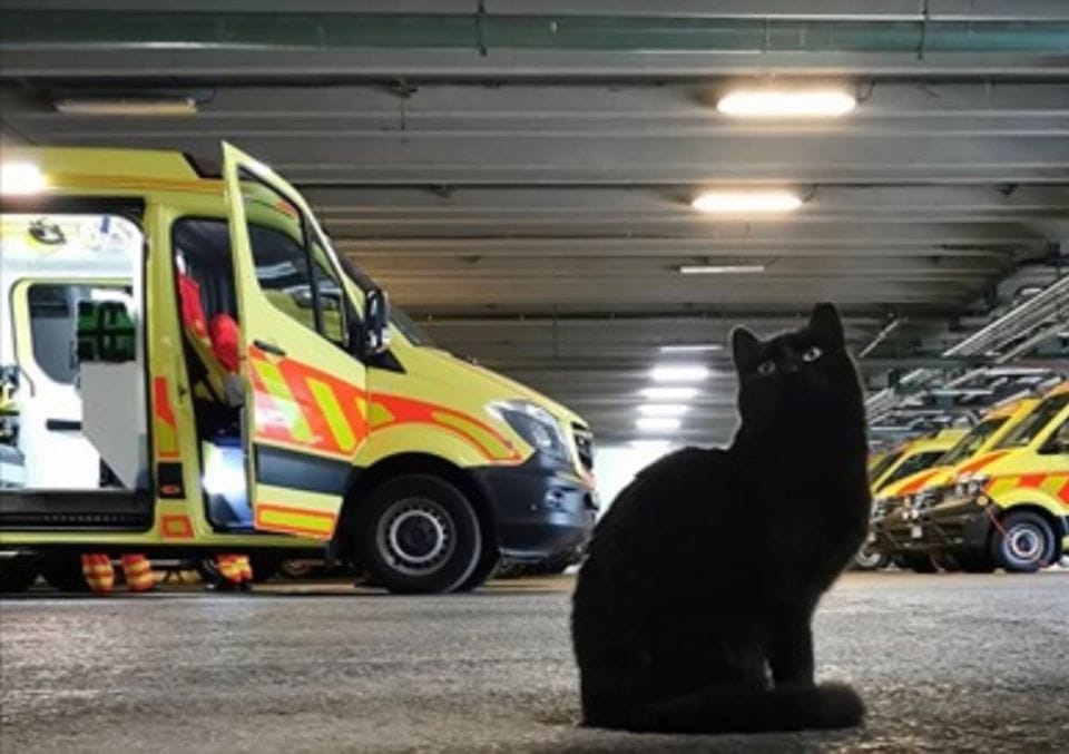 Felborított a szél egy buszt Békés megyében