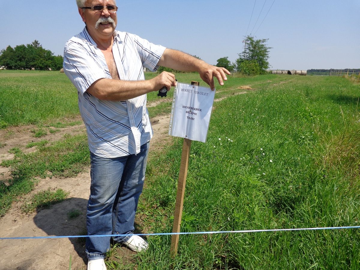 Villanypásztor-háború szakította ketté a falut