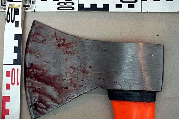 Vádemelési javaslatot tett a rendőrség a diósdi baltás gyilkos ellen