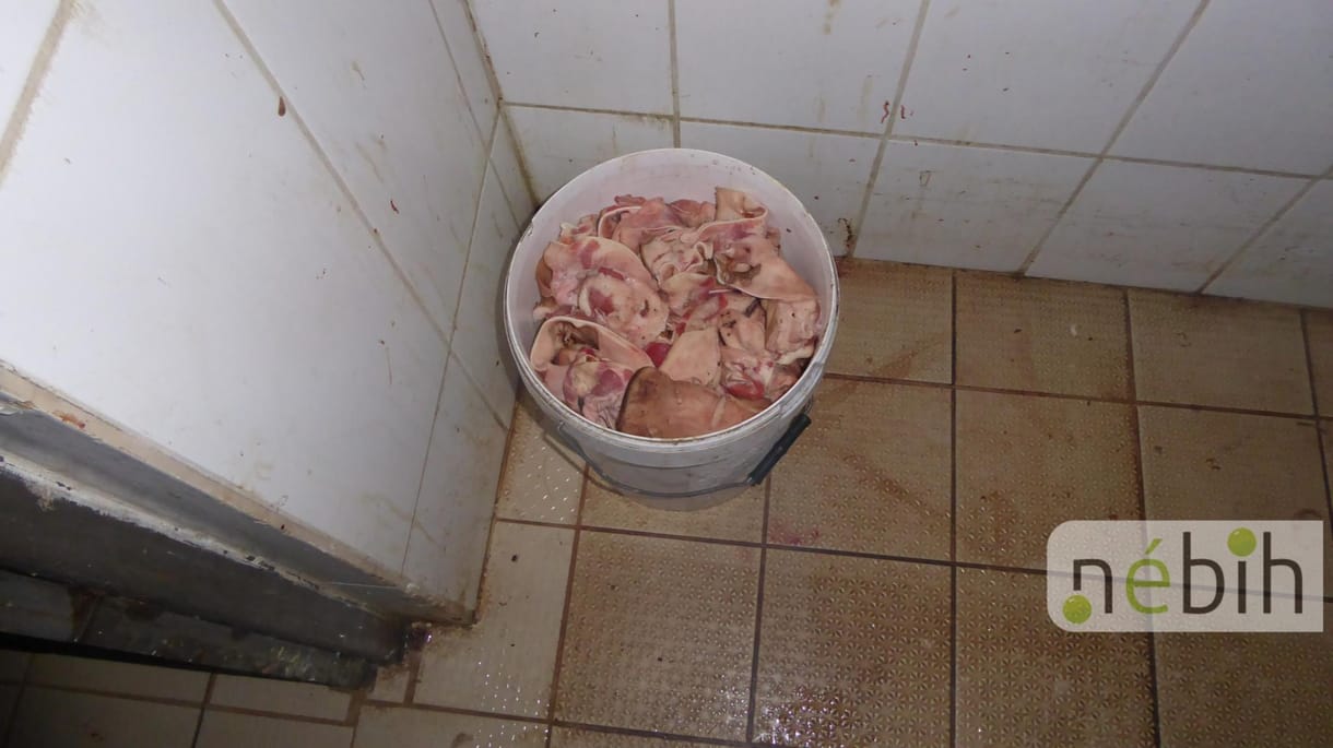 Döglött rovarok, élő egerek a Békés megyei vágóhídon