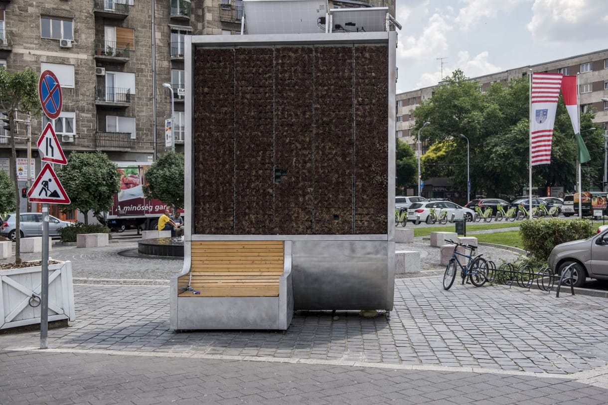Itt az utolsó felvonása a kudarcba fulladt mohafalas újításnak