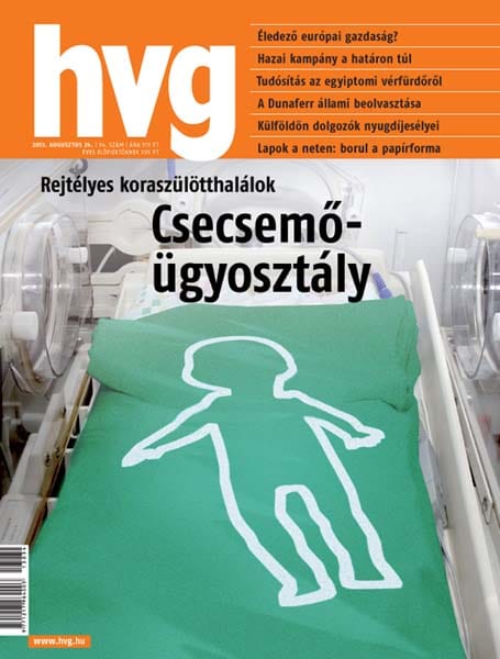 Kertész Imre: Útvesztő