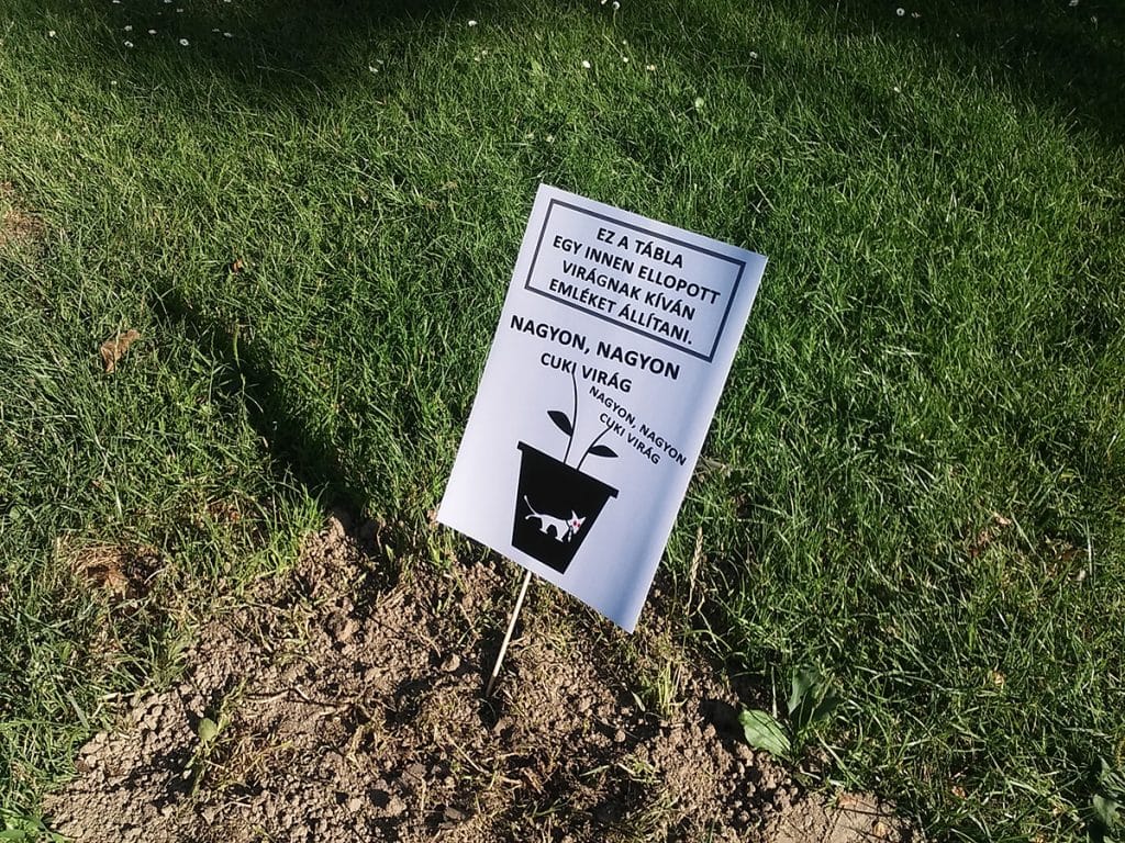 Az önkormányzat vitette el a Kétfarkú virágait Kaposváron