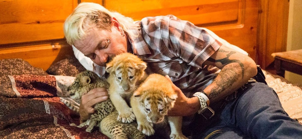 Új részt készít a Tiger Kinghez a Netflix