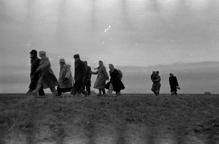 1956 és a migráns narratíva