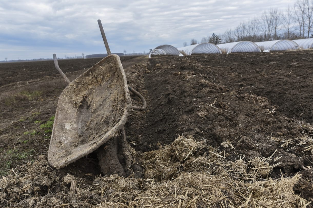 Cégtemetőnek tűnik, mégis újabb százmilliókat kap a lepukkant pusztaottlakai park