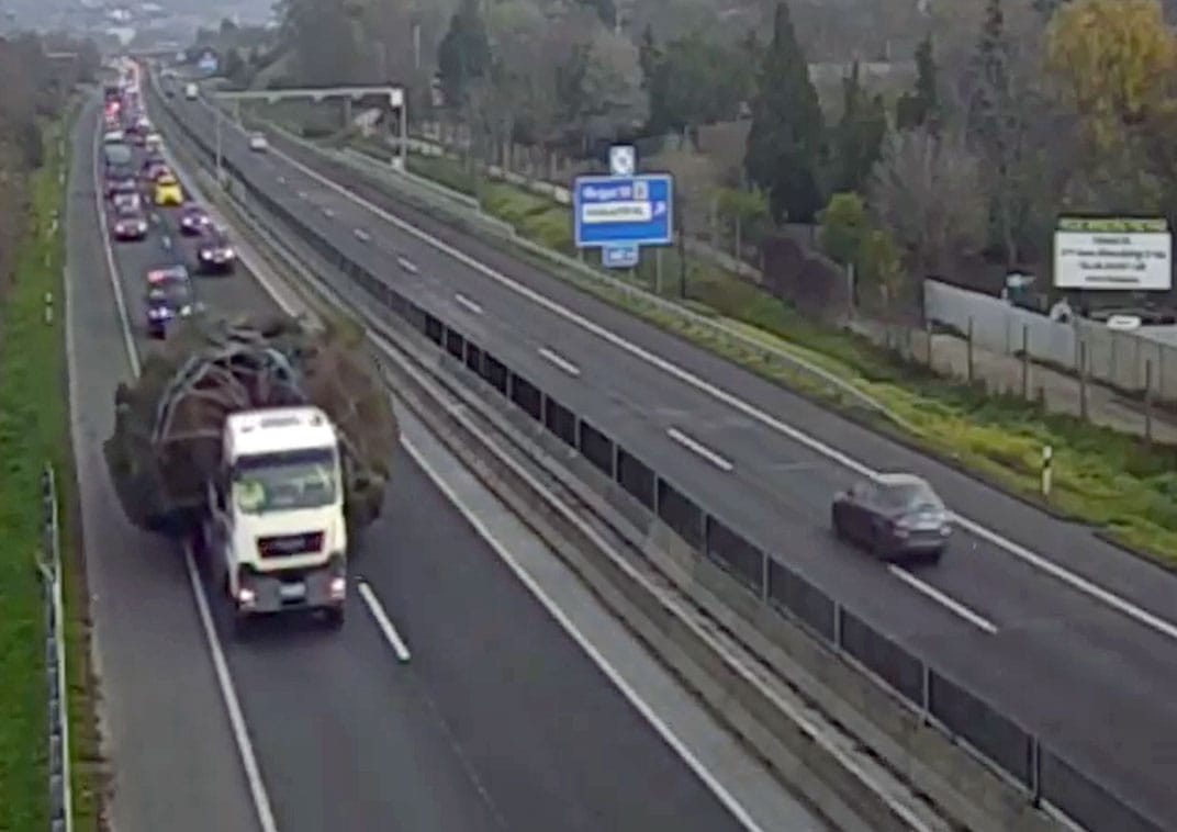 Jókora kocsisor is kísérte az ország karácsonyfáját – videó