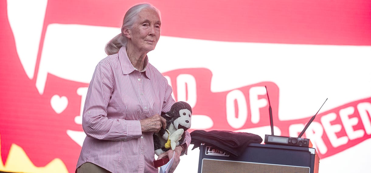 Jane Goodall egy meglepő helyszínen is felbukkant Budapesten