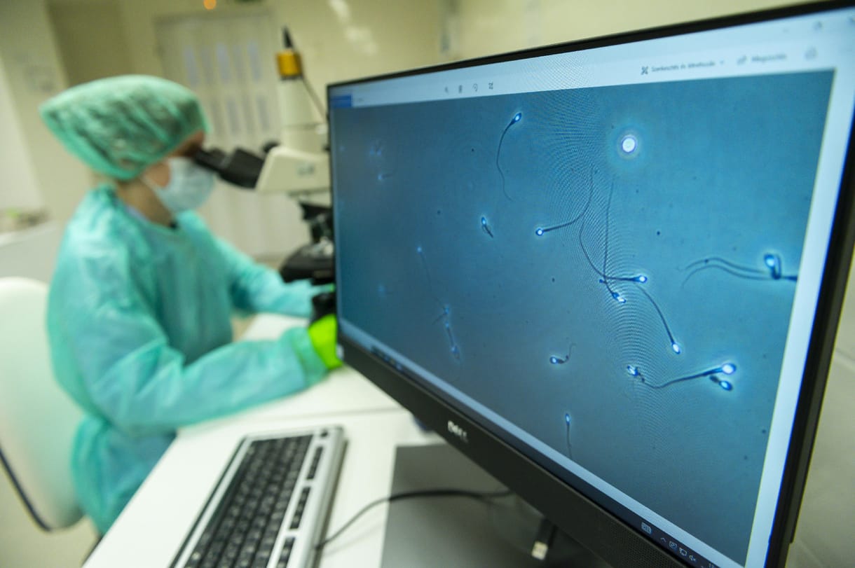 Ritka rákkeltő gént hordozott egy spermadonor – 10 gyermeknek már tovább is adta a betegséget