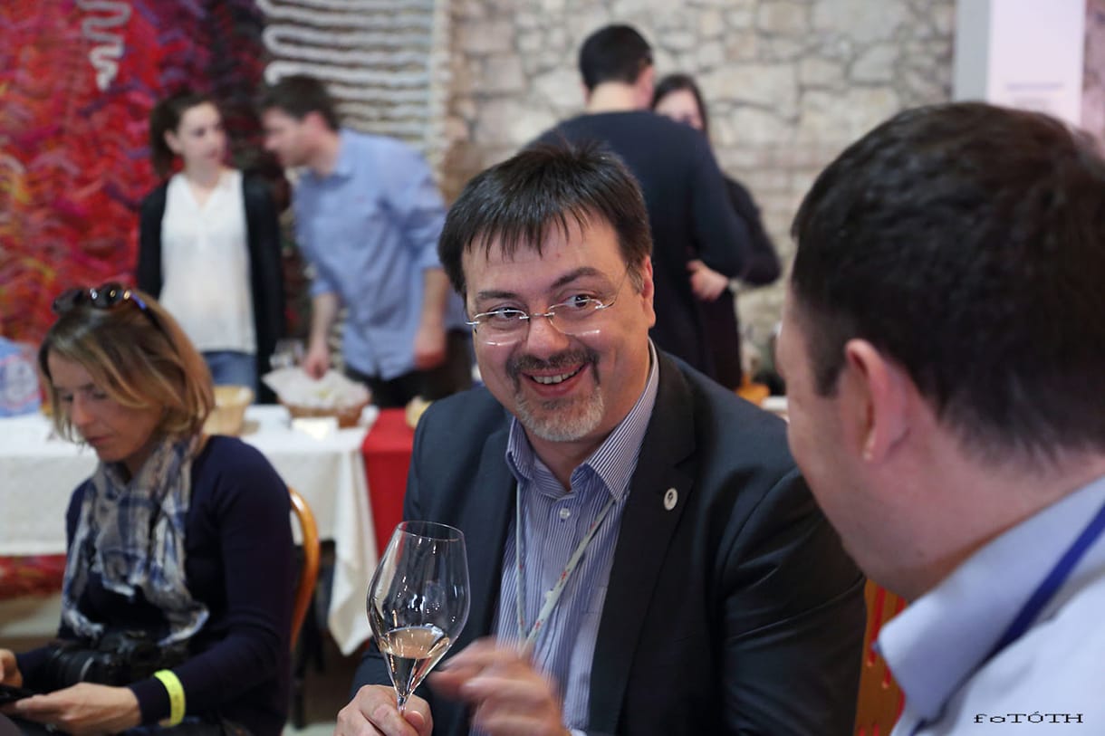 A horvátok Aranytolla egy magyaré