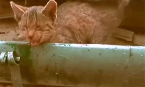 „A nagynénénk, az nincs meg” – videó a katasztrófa helyszínéről
